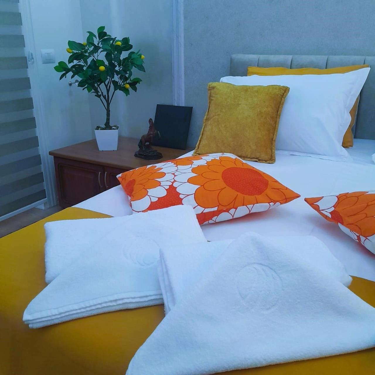 Bani'S Cozy Lovely Apt Tiranë Ngoại thất bức ảnh